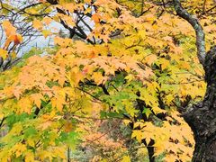 -洛阳白云山景区