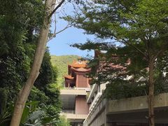 -深圳仙湖植物园