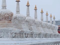-大召无量寺