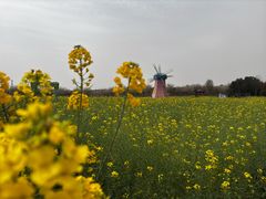 -武汉紫薇都市田园