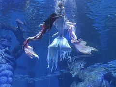 -波塞冬旅游度假区