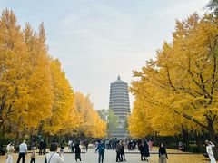 -玲珑塔公园