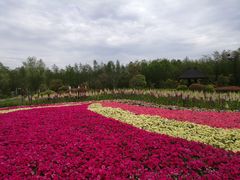 -东平国家森林公园