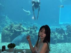 -涛·海底餐厅·美人鱼·自助餐·海底隧道(三亚海棠湾洲际度假酒店)