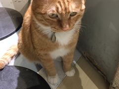 -小时光咖啡馆(开森度假森林店)