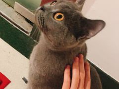 -壹人壹像工作室(购物公园店)