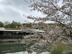 -玉山公园