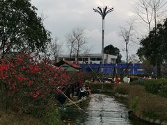 -成飞公园