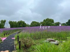 -梁鸿国家湿地公园
