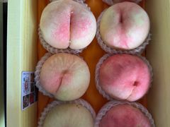 -南汇水蜜桃采摘(大团店)
