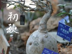 -国家植物园南园