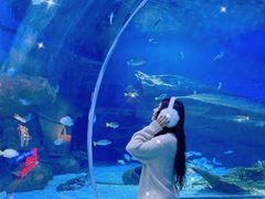 -海合安武汉极地海洋公园