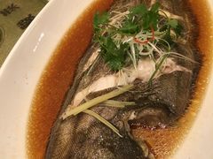 -骏莱海鲜鱼港(五角场店)