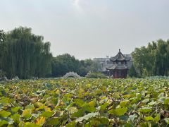 -莲池书院博物馆
