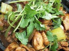 鸡鸡蛙蛙中煲-川香煲(茅台路店)