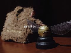 -歪歪宫殿·生日派对·团建聚会·轰趴·Wonder Palazzo