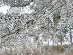 -秦岭风景区