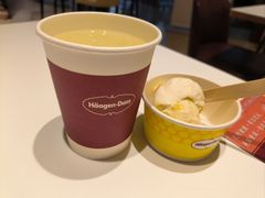 柠檬柚子高定马卡龙冰激凌球-哈根达斯(陆家浜路店)