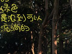 -苏小糖(鼓浪屿三丘田花园店)