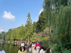 -重庆彩云湖湿地公园