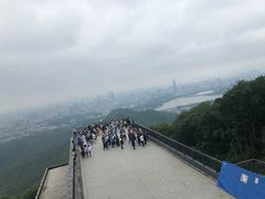 -紫金山山顶公园