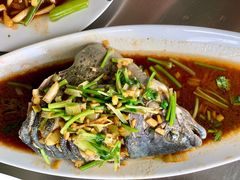 鲟鱼-青龙潭鱼庄