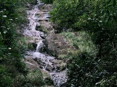 -东天目山风景区