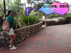 -吉隆坡雀鸟公园