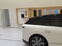 -理想汽车(世纪汇店)