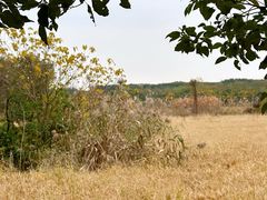 -广富林郊野公园