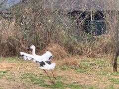 -杭州野生动物世界