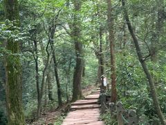 -青城山
