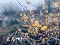 -南京市民俗博物馆(甘熙故居)