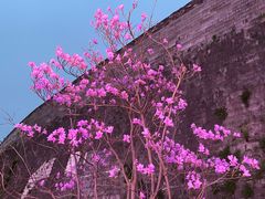 -老门东历史文化街区