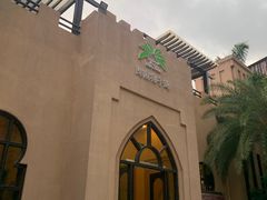 -海南椰子鸡餐厅(三亚湾红树林店)
