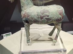 -张掖市博物馆
