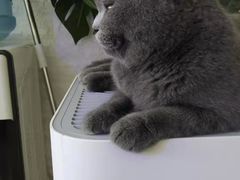 -平行世界·猫咖(首经贸店)