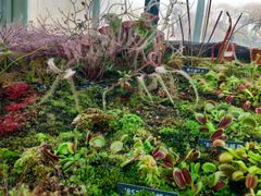 -国家植物园南园