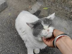 -厦门良筑精品酒店(厦门中山路店)