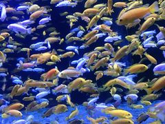 -成都浩海立方海洋公园