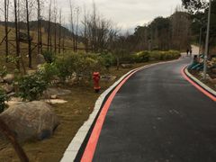 -梅峰山地公园