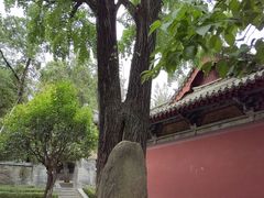 -南阳卧龙岗武侯祠