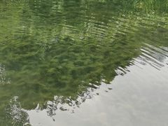 -成都市活水公园