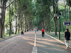 -南宁南湖公园