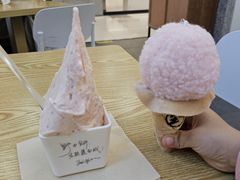 -野人先生Gelato(上海长宁龙之梦店)