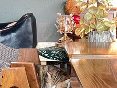 -咖法森林·咖啡  酒吧(天河店)