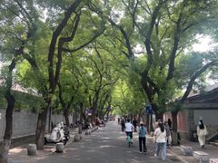 -北京国子监胡同