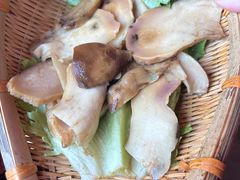 -滇野云南野生菌餐厅(陕西南路店)