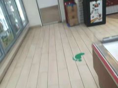 -全家便利店(莲花池东路店)