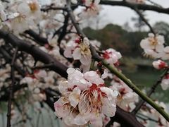 -白塘生态植物园